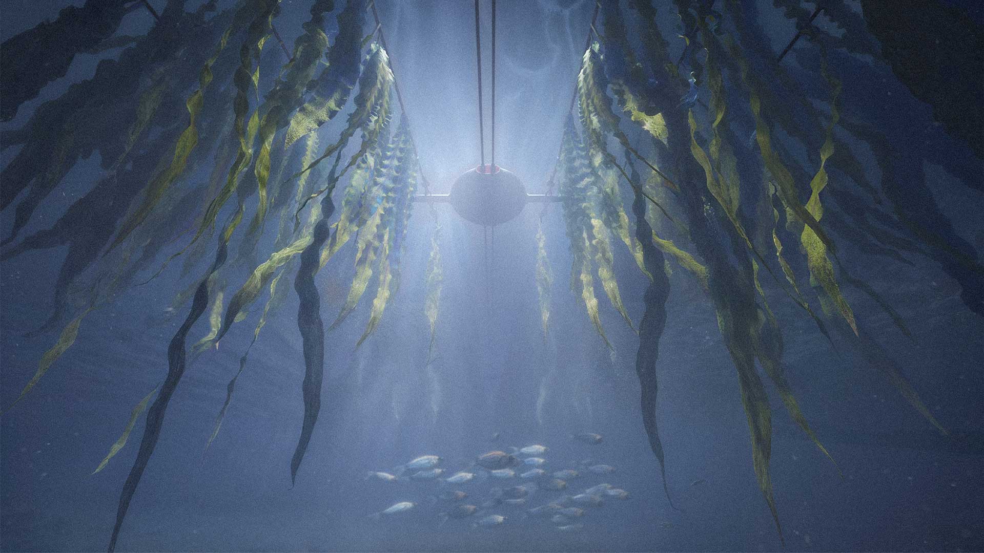 Symbios project designed in Academy of PHOENIX design, innovative design studios in europe.