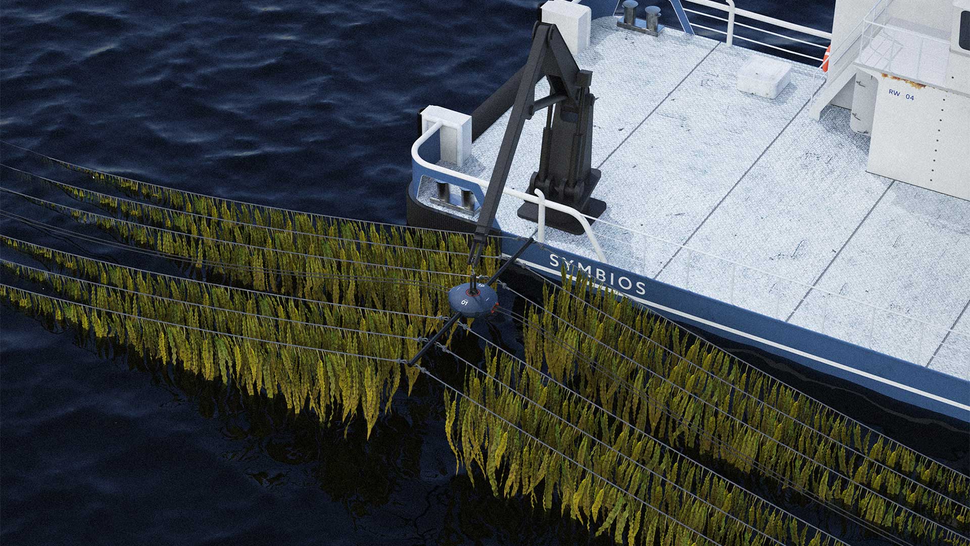 Symbios showing the possible crop of the algaes on the ocean, project that helps the environment with DEsign for wellbeing in mind.