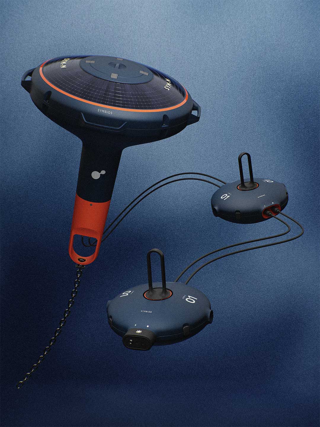 Showing process of helping marine agriculture of growing algae during the entire year.