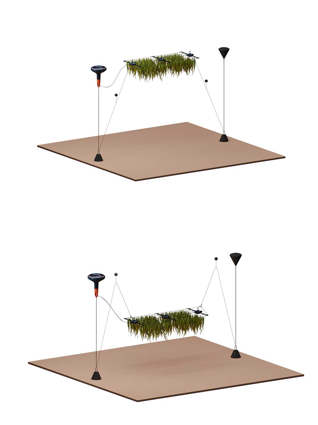 Design helping to protect the marine biodiversity while supporting human needs. Desing in partnership with PHOENIX Design Academy